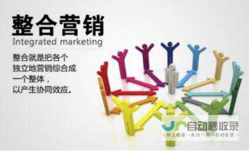 打造企业品牌形象：全面提升公司官网建设