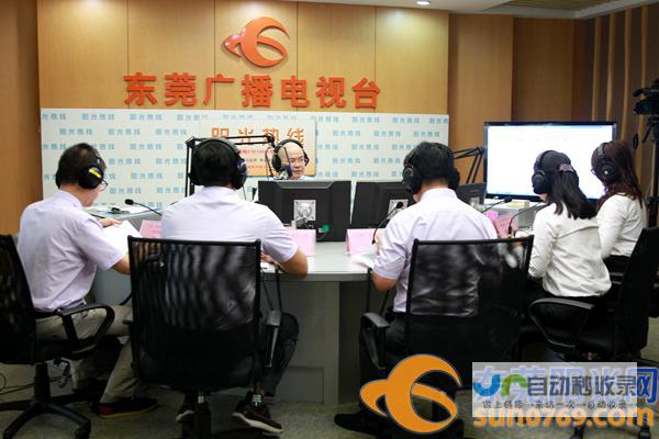 东莞网络公司：全方位数字营销解决方案，助力企业发展