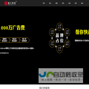 SEO·品牌推广·网络营销策划·王通